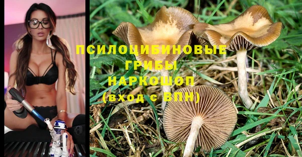 прущая мука Приозерск