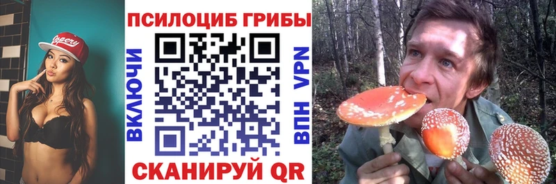 Галлюциногенные грибы прущие грибы  Чудово 